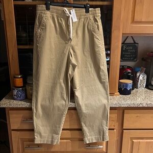 Lane Bryant Men's Khaki Chinos